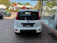 Gebraucht Fiat Panda 69 PS (50 kW) 2023 Weiß Kleinwagen