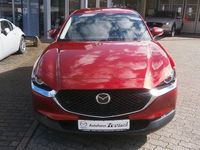 Gebraucht Mazda CX-30 2020 Rot SUV