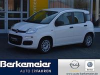 Gebraucht Fiat Panda Urban 69 PS (50 kW) 2020 Weiß Kleinwagen