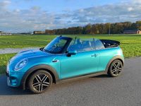 Gebraucht Mini One Cabriolet 102 PS (75 kW) 2017 Grün Cabrio
