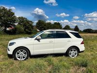 Gebraucht Mercedes ML350 258 PS (189 kW) 2013 Weiß SUV