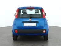 Neu Fiat Panda Connect 70 PS (51 kW) 2025 Blau Kleinwagen