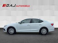 Gebraucht Skoda Octavia Active 116 PS (85 kW) 2022 Weiß Limousine