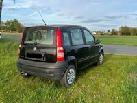 gebraucht Fiat Panda 1.2 Liter Benzin