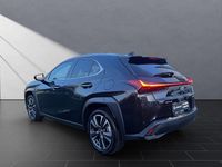 Gebraucht Lexus UX 250h 184 PS (135 kW) 2023 Schwarz SUV