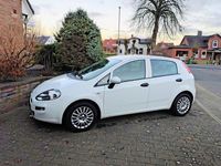 Gebraucht Fiat Punto 69 PS (50 kW) 2017 Weiß Kleinwagen