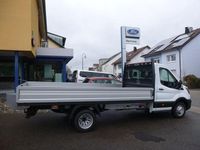 Neu Ford Transit 165 PS (121 kW) 2025 Weiß Van / Kleinbus