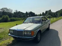 Gebraucht Mercedes E280 177 PS (130 kW) 1977 Grün
