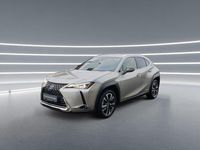 Gebraucht Lexus UX 250h 184 PS (135 kW) 2022 Grau SUV