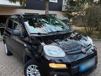 Gebraucht Fiat Panda Easy 69 PS (50 kW) 2020 Schwarz Kleinwagen