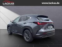 Neu Lexus NX350h Executive Line 243 PS (178 kW) 2025 Grau SUV