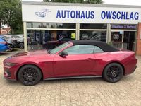 Neu Ford Mustang GT 446 PS (328 kW) 2025 Violett Cabrio