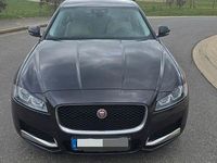 Gebraucht Jaguar XF Pure 163 PS (119 kW) 2016 Blau Limousine