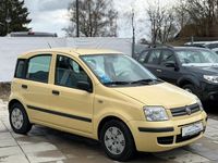 Gebraucht Fiat Panda Dynamic 60 PS (44 kW) 2009 Gelb Kleinwagen