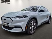 Gebraucht Ford Mustang Mach-E Standard Range 197 kW (269 PS) 2024 Othercolor SUV