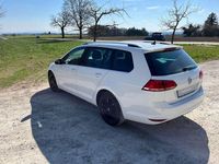 Gebraucht VW Golf VII Allstar 110 PS (80 kW) 2016 Weiß Kombi
