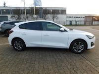 Neu Ford Focus Titanium 116 PS (85 kW) 2025 Weiß Limousine