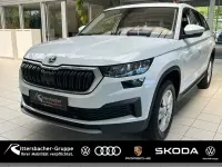 Gebraucht Skoda Kodiaq Ambition 150 PS (110 kW) 2023 (moonweiss metallic) SUV