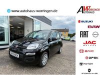 Neu Fiat Panda 69 PS (50 kW) 2025 Schwarz Limousine
