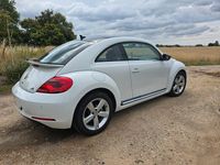 Gebraucht VW Beetle Sport 160 PS (117 kW) 2014 Weiß Kleinwagen