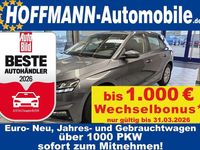 Neu Skoda Fabia Selection 116 PS (85 kW) 2025 Grau Kleinwagen