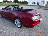 Gebraucht Ford Mustang GT Convertible 421 PS (309 kW) 2016 Rot Cabrio