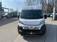 Neu Fiat Ducato 179 PS (131 kW) 2026 Weiss gelato weiss Van