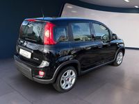Gebraucht Fiat Panda 69 PS (50 kW) 2024 Schwarz Kleinwagen