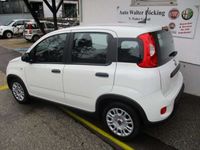 gebraucht Fiat Panda Base