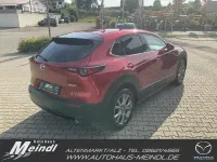 Gebraucht Mazda CX-30 Selection 186 PS (136 kW) 2022 Soul red crystal SUV