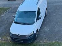 Gebraucht VW Caddy Maxi 122 PS (89 kW) 2021 Weiß Van / Kleinbus