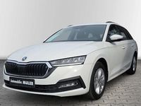 Gebraucht Skoda Octavia Ambition 115 PS (84 kW) 2023 Weiß Kombi