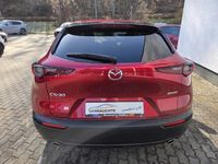 Gebraucht Mazda CX-30 Selection 122 PS (89 kW) 2022 Rot SUV