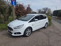 Gebraucht Ford S-MAX Business Edition 150 PS (110 kW) 2018 Weiß Van / Kleinbus