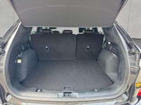 Gebraucht Ford Kuga ST-Line X 151 PS (111 kW) 2023 Agate blck metallic SUV
