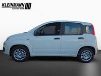 Neu Fiat Panda Icon 65 PS (47 kW) 2026 Gelato weiß Kleinwagen