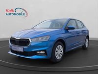 Neu Skoda Fabia Selection 95 PS (69 kW) 2025 Raceblau metallic Kleinwagen