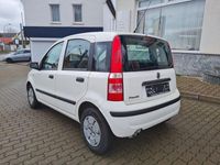 Gebraucht Fiat Panda Active 54 PS (39 kW) 2009 Weiß Limousine