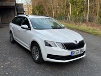 Gebraucht Skoda Octavia Active 116 PS (85 kW) 2019 Weiß Kombi