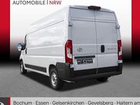 Gebraucht Toyota Proace 140 PS (102 kW) 2024 Weiß Van / Kleinbus