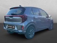 Neu Kia Picanto Vision 68 PS (50 kW) 2026 Grau Kleinwagen