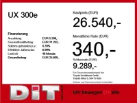 Gebraucht Lexus UX 300e 150 kW (204 PS) 2021 Titaniumsilber SUV