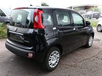 Neu Fiat Panda 69 PS (50 kW) 2025 Cinema schwarz Kleinwagen