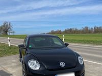 gebraucht VW Beetle New