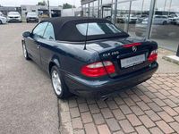 Gebraucht Mercedes CLK200 Elegance 136 PS (100 kW) 1999 Blau Cabrio