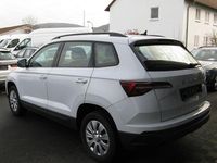 Gebraucht Skoda Karoq Active 110 PS (80 kW) 2022 Moonweiss metallic (metallic) SUV