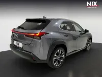 Gebraucht Lexus UX 250h 184 PS (135 kW) 2022 Grau SUV