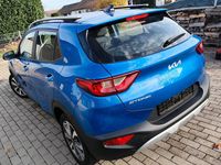 Gebraucht Kia Stonic 101 PS (74 kW) 2021 Blau SUV