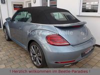 Gebraucht VW Beetle Exclusive 150 PS (110 kW) 2018 Blau Kleinwagen
