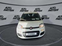 Neu Fiat Panda Icon 65 PS (47 kW) 2026 Weiß Kleinwagen